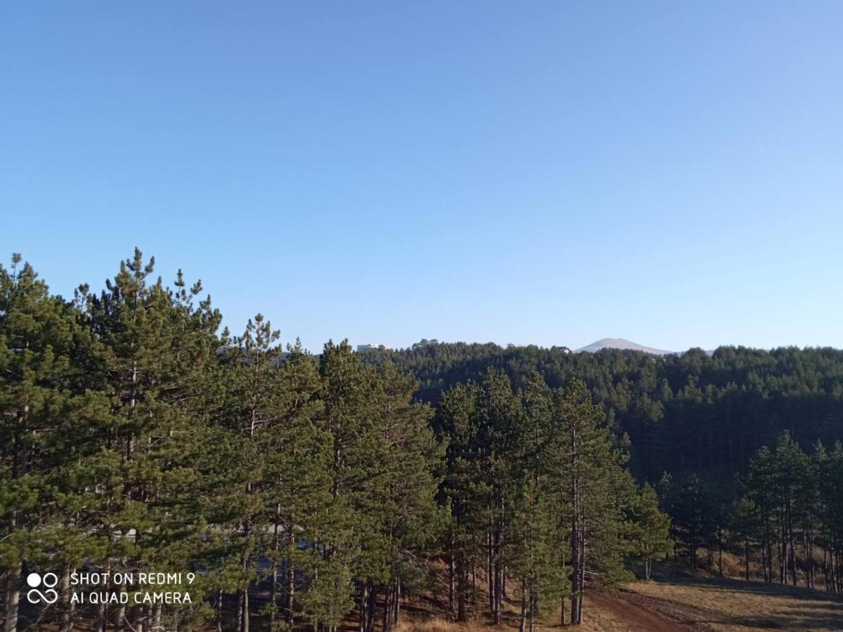 Nideho Estate Apartmani Zlatibor Eksteriør bilde